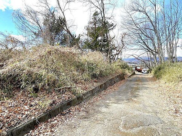 北側の接道状況です。