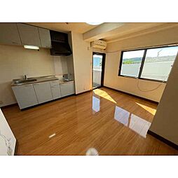 シャタレイン 301