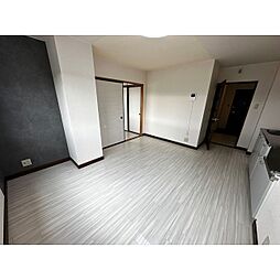 シャタレイン 501