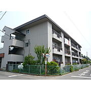 清水マンション 3階 築43年3ヶ月の賃貸物件