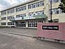 周辺：緑丘小学校　徒歩9分(660ｍ)