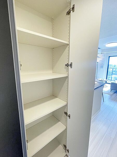 LD内収納　※家具・調度品はつきません