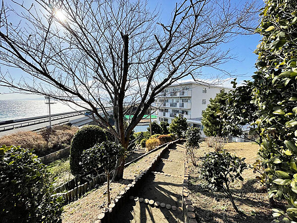 海風を感じながら遊歩道をのんびりとお散歩できます。