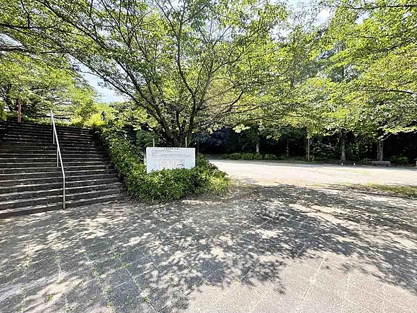 運動公園