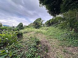 東京都西多摩郡日の出町大字平井740