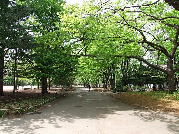 円山公園まで徒歩7分！