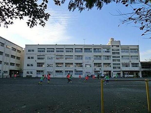 【小学校】横浜市立　深谷小学校まで330ｍ