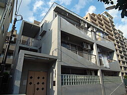 シトラスグランディス 102