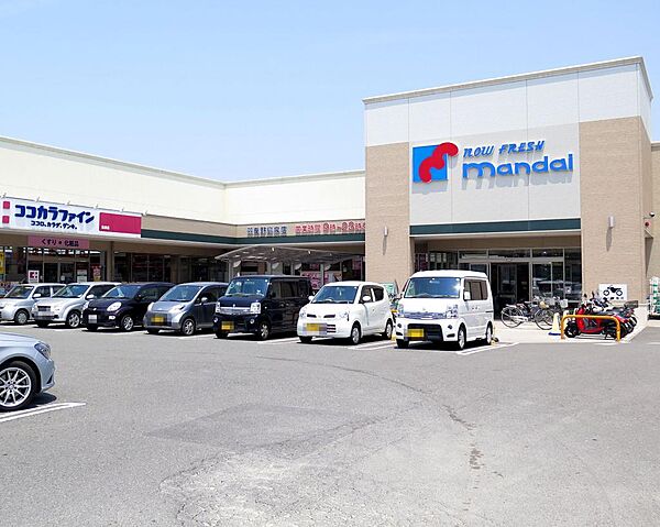 万代羽曳野島泉店(600m)
