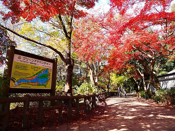 井の頭恩賜公園