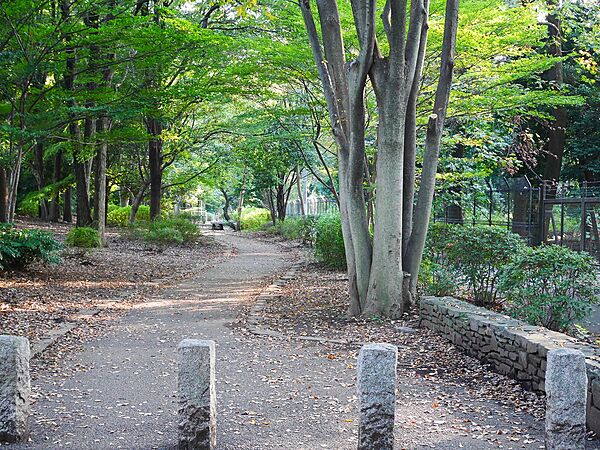 神代植物公園まで（1100m）