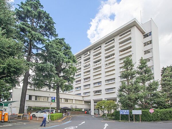 東京慈恵会医科大学附属第三病院　徒歩29分