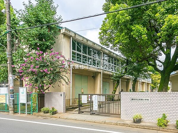 若葉小学校　徒歩11分