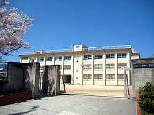 画像22:【小学校】和歌山市立紀伊小学校まで1340ｍ