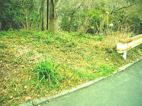南側接面道路からです。幅員は約6．5mの公道です。日当たりも良いです。