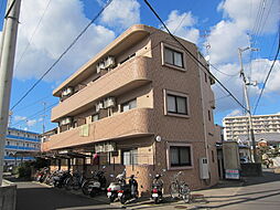 オレンジコートNI