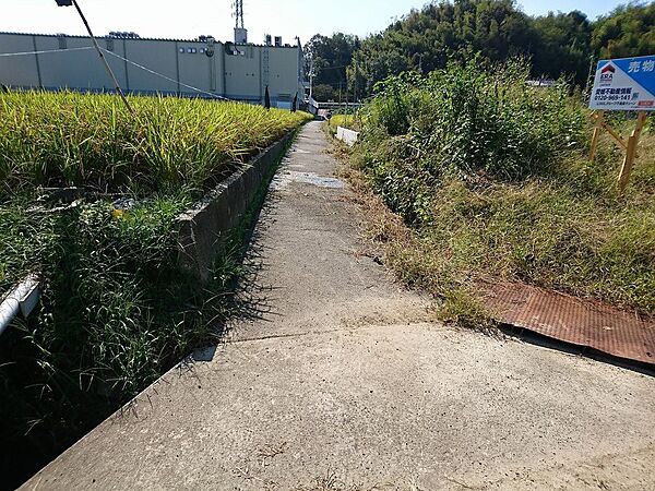 南側：農道