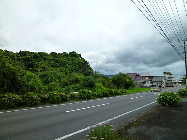 外観：346000011993