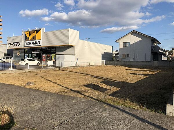 外観：334000238563