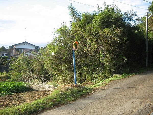 外観：341000026758