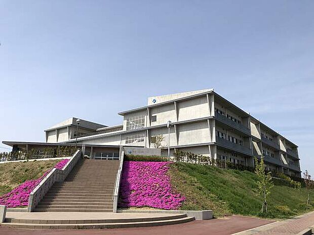 【小学校】白帆台小学校まで440ｍ