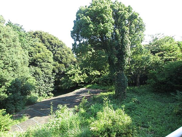 現地からの景色