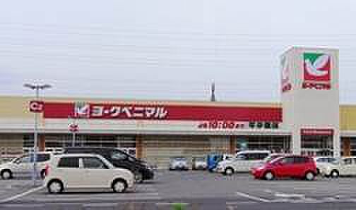 ヨークベニマル小山ゆうえんち店 1180m