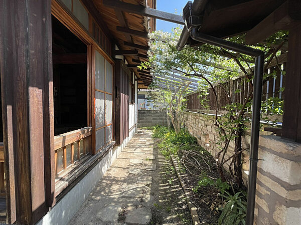 バラがきれいに咲いてます