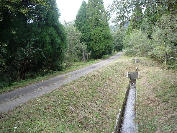 外観：325000117447