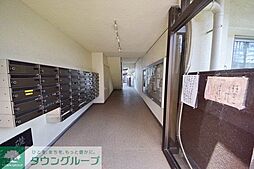 7 / 11