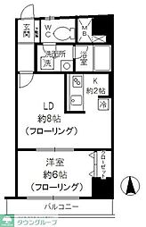 東京メトロ丸ノ内線 新高円寺駅 徒歩4分の賃貸マンション 11階1LDKの間取り