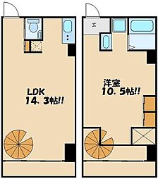 ＳＳ−Ｄ 4階1LDKの間取り