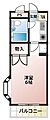 ジュネパレス市川第53階5.6万円