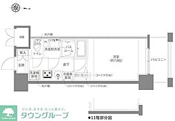 AELL亀有 11階1Kの間取り