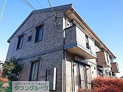 プラムツリー 101