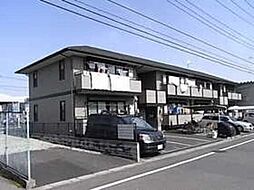 コゥジィーコート