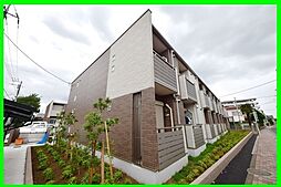 ミランダファルコナーII 201