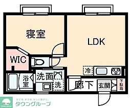 シティハイム清雅タチカワ 1LDKの間取図画像