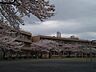 周辺：青梅市立今井小学校 360m