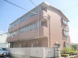 アネックスさつき