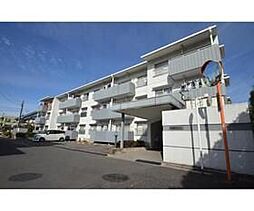 東武東上線 若葉駅 徒歩6分の賃貸マンション