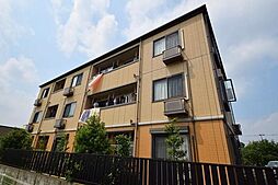 アムールシャンテ是政 303