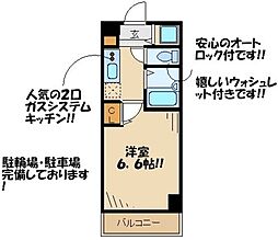 ガーラプレイス八幡山壱番館 1階1Kの間取り