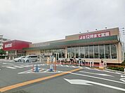 カスミフードスクエア西の原店 306m
