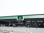 Fuji鶴嶺店 徒歩16分。スーパー 1250m