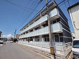 レオネクストドリーム金子