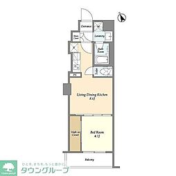AZURETERRACE門前仲町 1LDKの間取図画像
