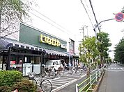 いなげや武蔵野桜堤店 725m
