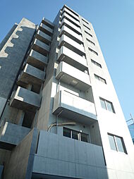 グレイスカメリア