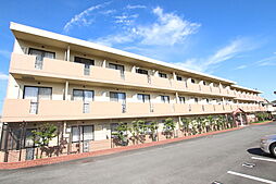 ミルトニアめじろ台